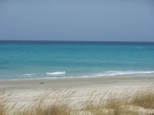 Opportunité de 50 000 m2 a coté plage ezzahra