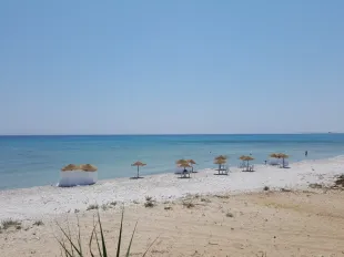 Opportunité rare